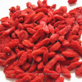 Factory Supply Zertifizierte Bio-Goji-Beeren und -Beeren goji